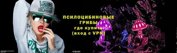 бошки Абаза