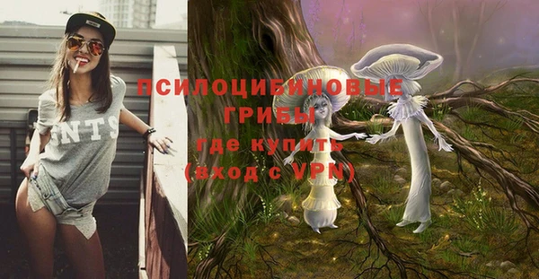 эйфоретик Алзамай