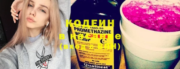 эйфоретик Алзамай