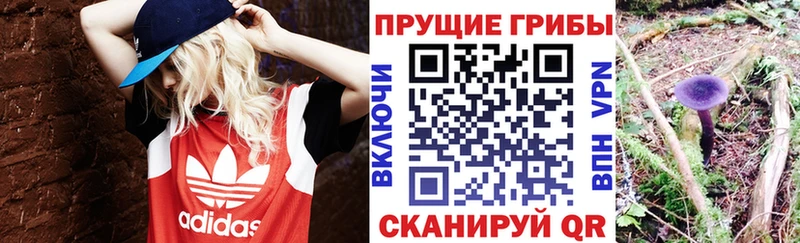Галлюциногенные грибы Magic Shrooms Новомичуринск